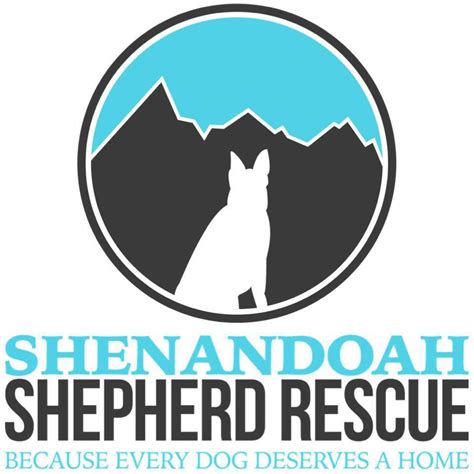 Shenandoah shepherd rescue - This group provides a more in depth view into the dogs and volunteer efforts of Shenandoah Shepherd Rescue. By joining this group, you'll have the joy of seeing many updates on our dogs in foster...